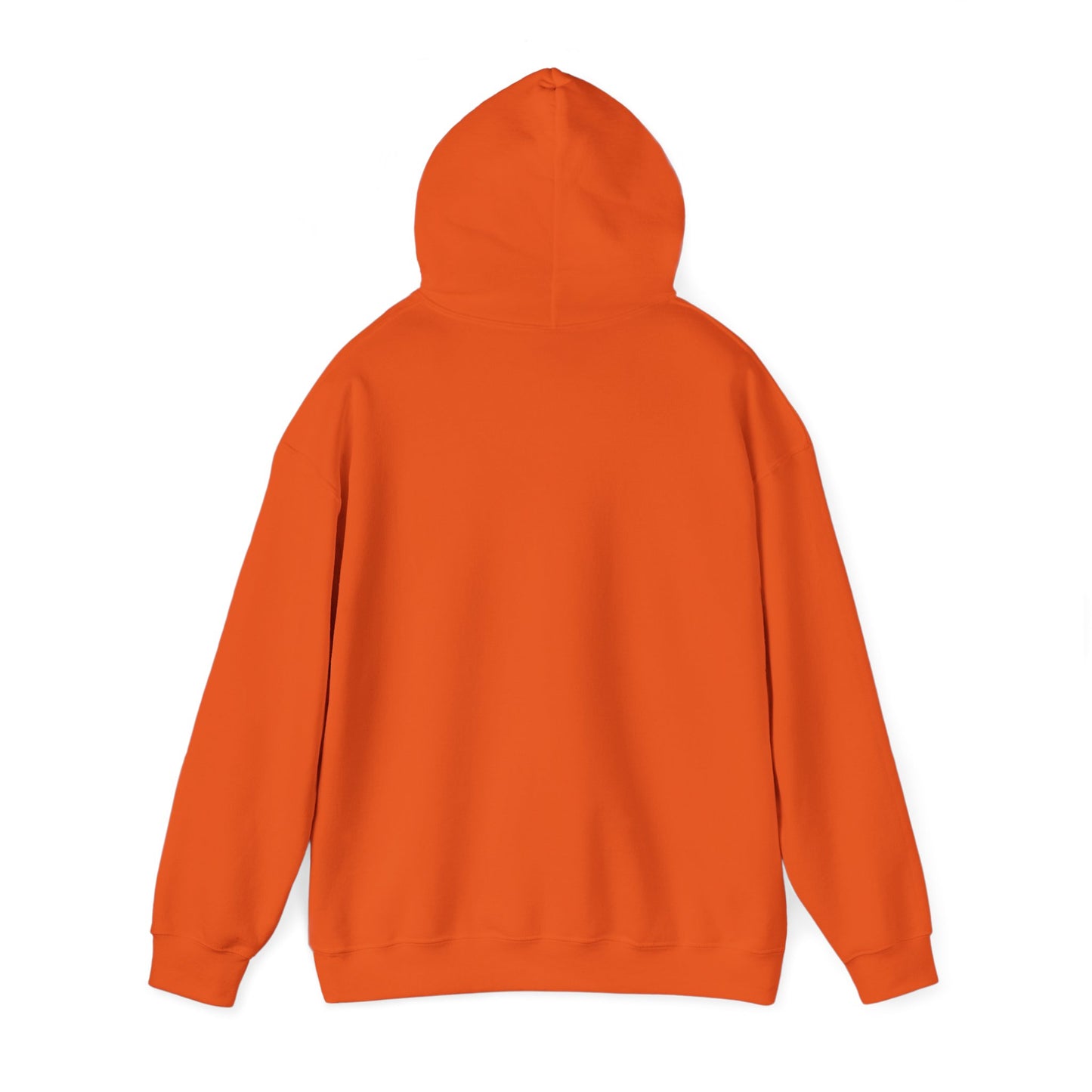 Big Dreams Small Steps Hoodie - Inspirational Unisex Heavy Blend Sweatshirt