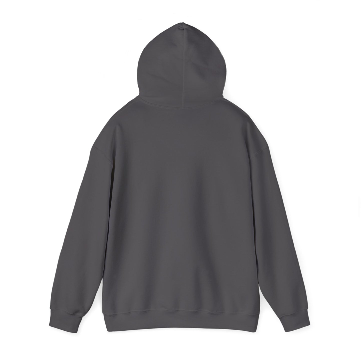 Big Dreams Small Steps Hoodie - Inspirational Unisex Heavy Blend Sweatshirt
