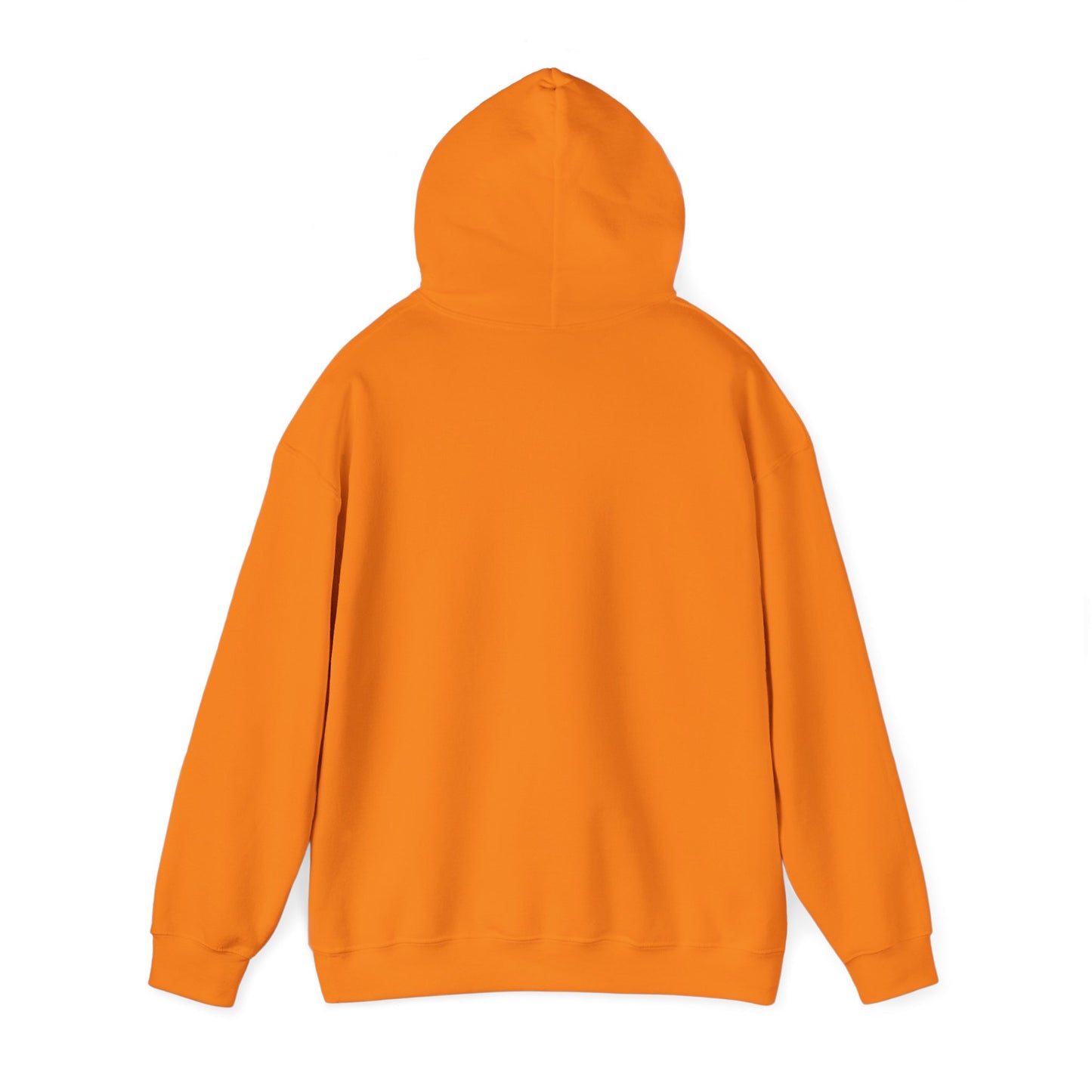 Big Dreams Small Steps Hoodie - Inspirational Unisex Heavy Blend Sweatshirt