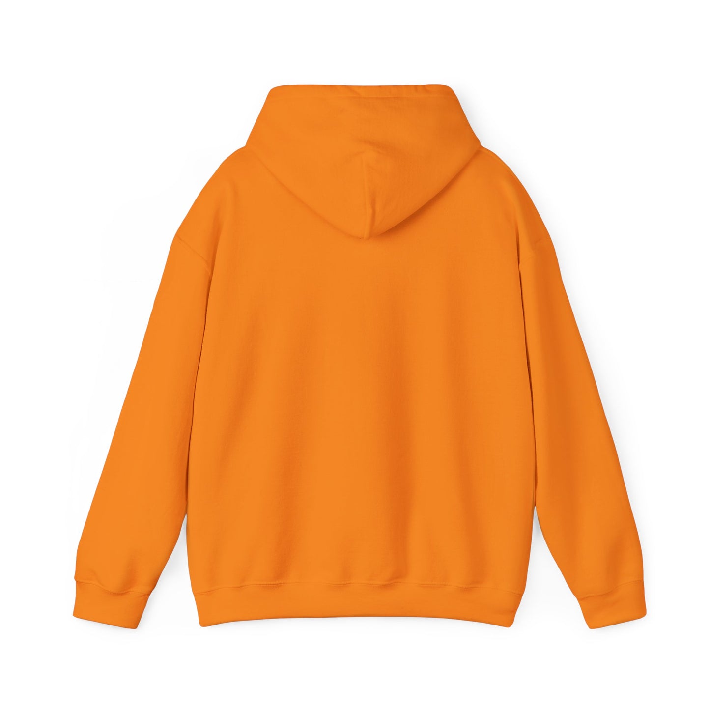 Big Dreams Small Steps Hoodie - Inspirational Unisex Heavy Blend Sweatshirt