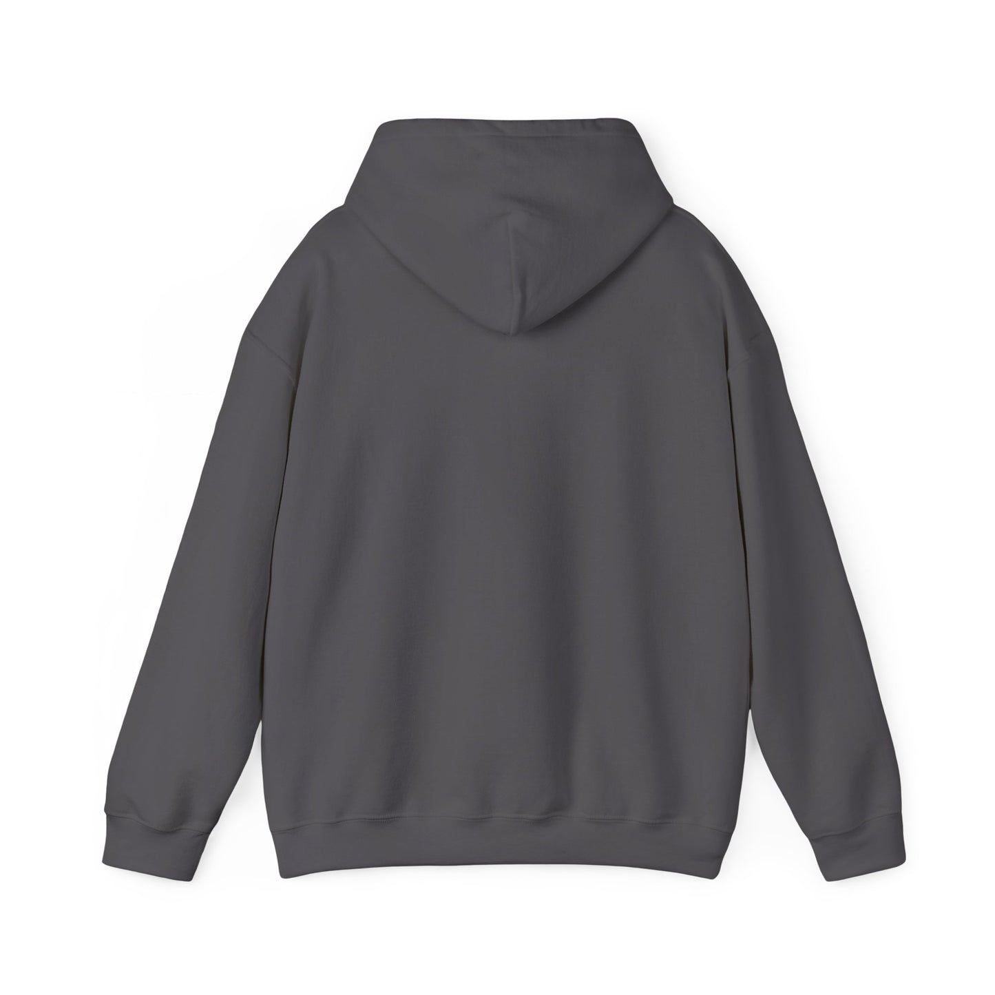 Big Dreams Small Steps Hoodie - Inspirational Unisex Heavy Blend Sweatshirt