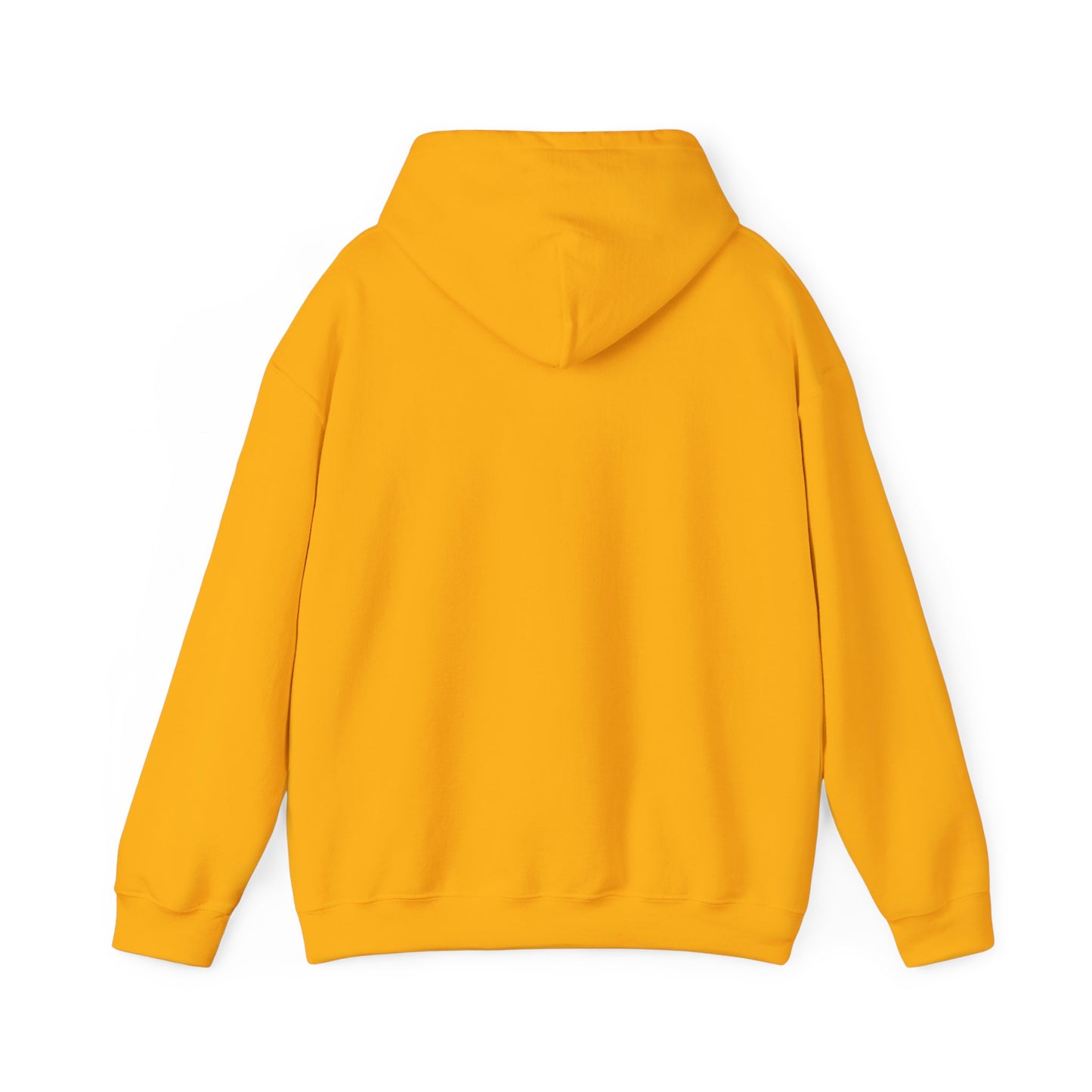Big Dreams Small Steps Hoodie - Inspirational Unisex Heavy Blend Sweatshirt