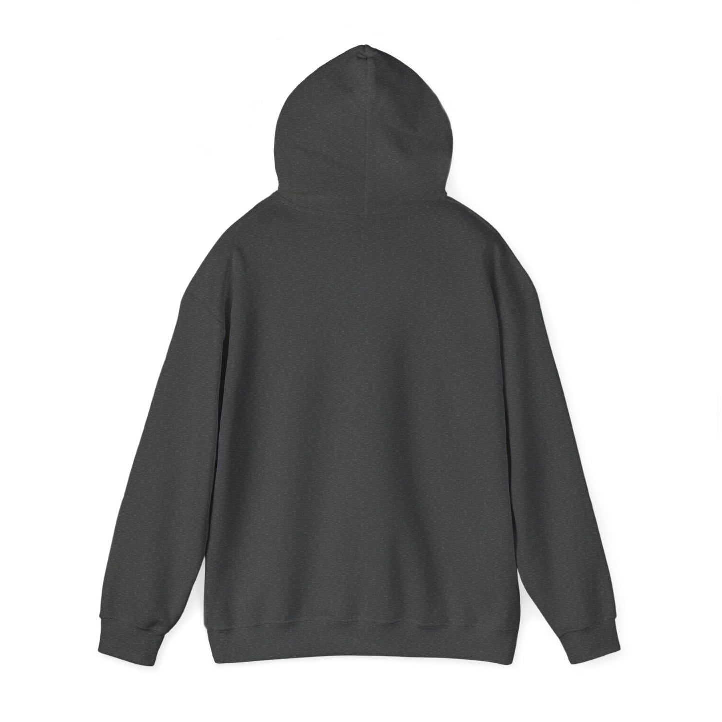 Big Dreams Small Steps Hoodie - Inspirational Unisex Heavy Blend Sweatshirt