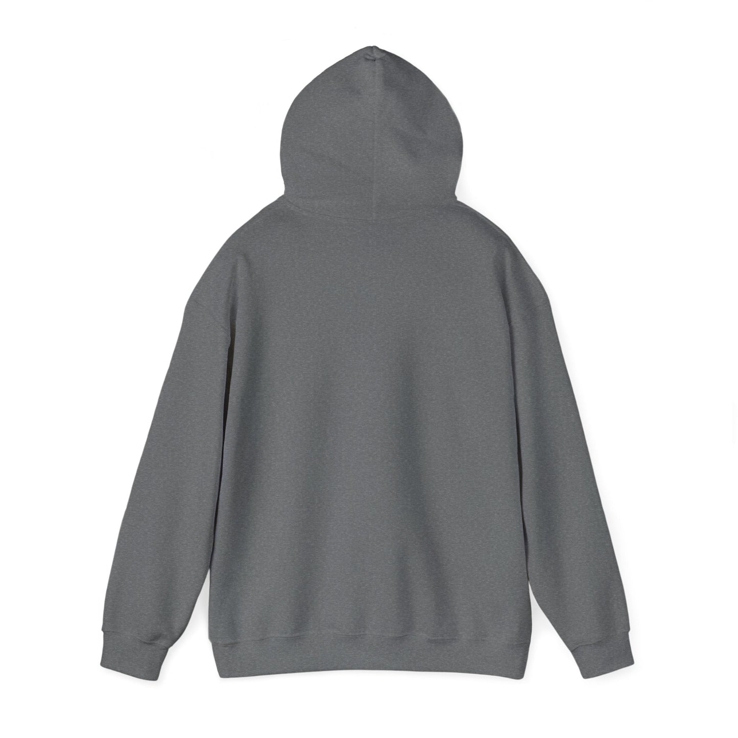 Big Dreams Small Steps Hoodie - Inspirational Unisex Heavy Blend Sweatshirt