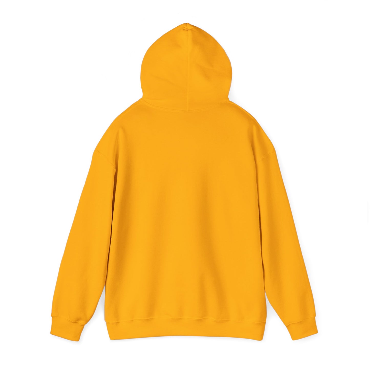 Big Dreams Small Steps Hoodie - Inspirational Unisex Heavy Blend Sweatshirt